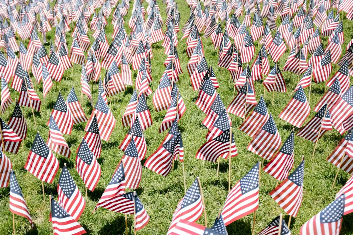 279+ Veterans Day Quotes to Honor Our Heroes (Updated 2024)