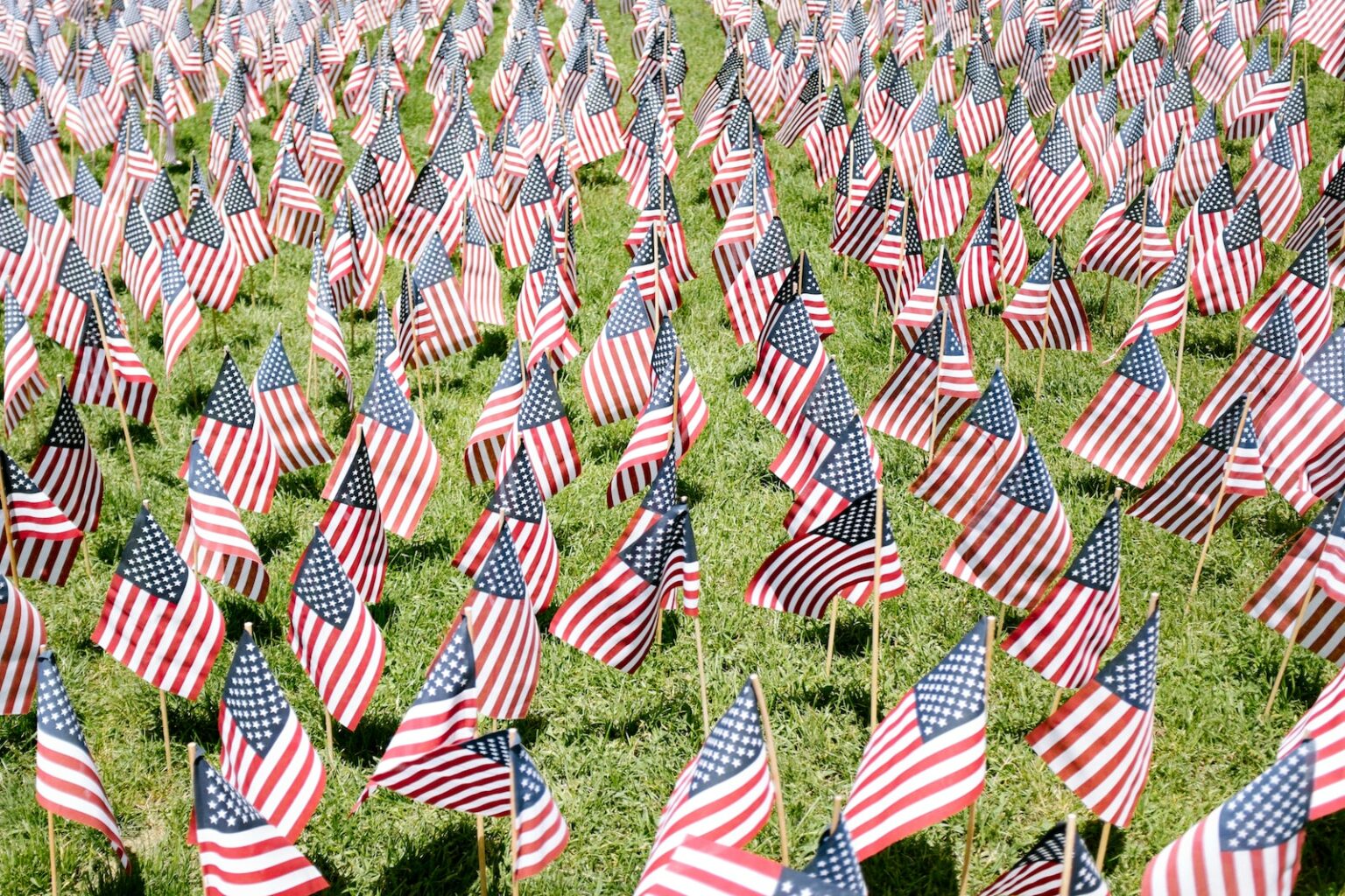 279+ Veterans Day Quotes to Honor Our Heroes (Updated 2024)